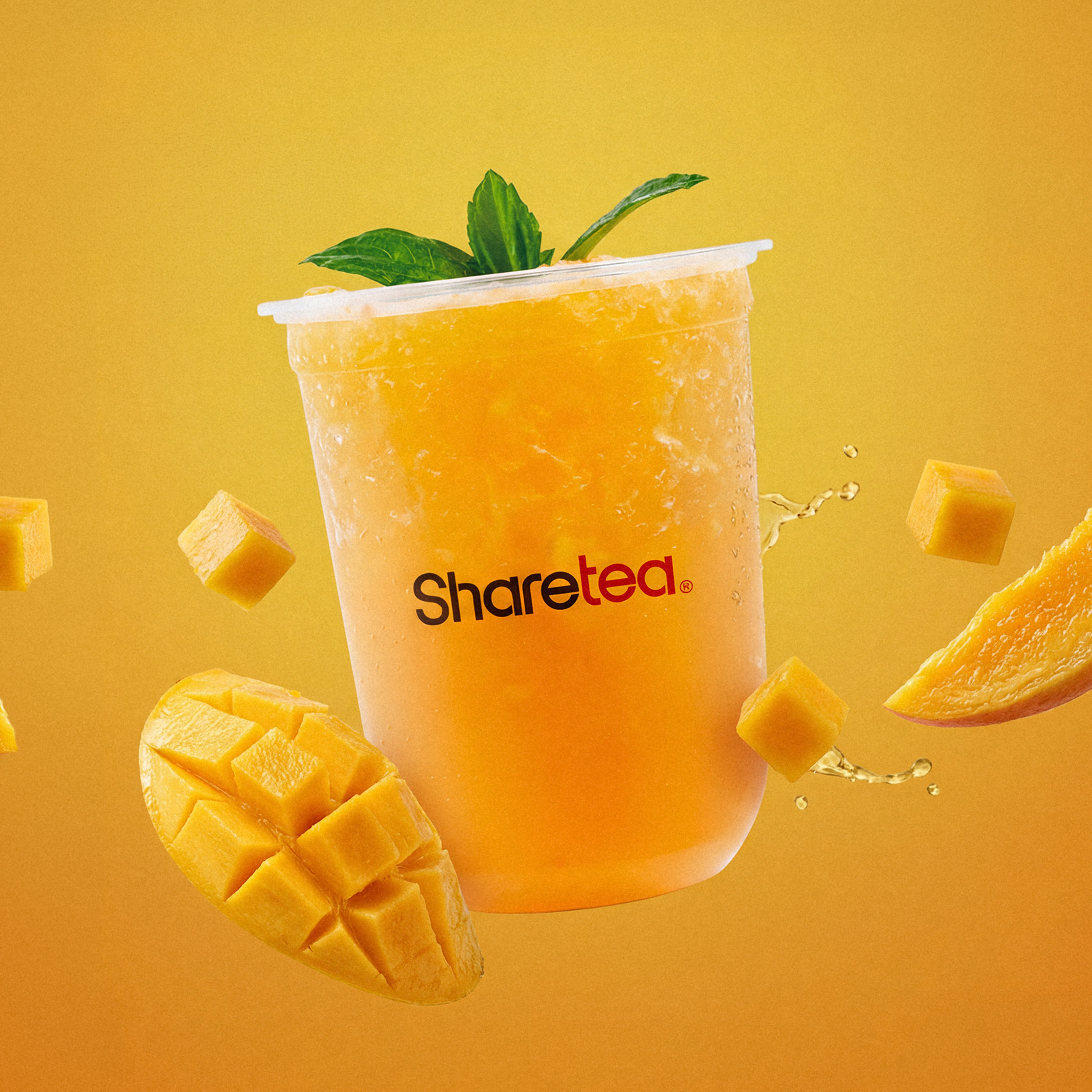 Wintermelon Lemonade